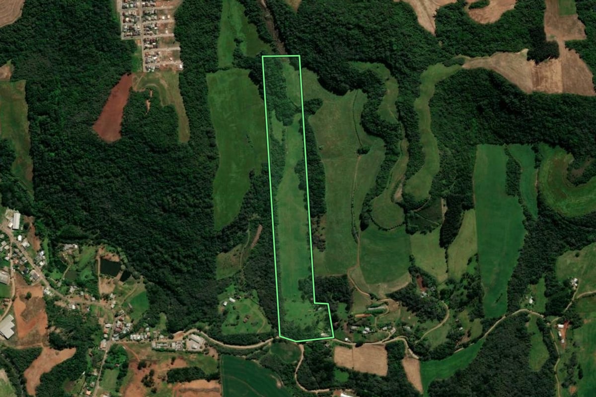 Imagem de satélite do imóvel rural em Serafina Corrêa (RS), com o contorno declarado no CAR desenhado por cima.
