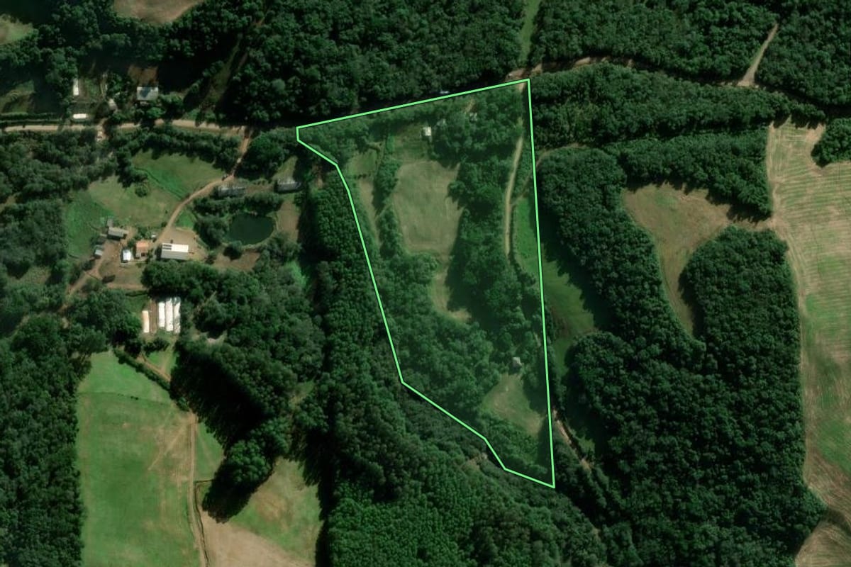 Imagem de satélite do imóvel rural em Serafina Corrêa (RS), com o contorno declarado no CAR desenhado por cima.