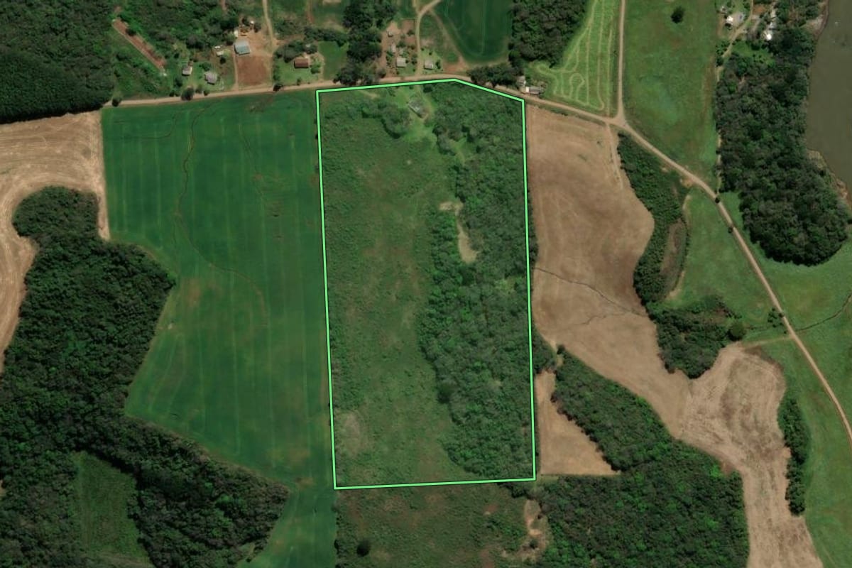 Imagem de satélite do imóvel rural em Serafina Corrêa (RS), com o contorno declarado no CAR desenhado por cima.
