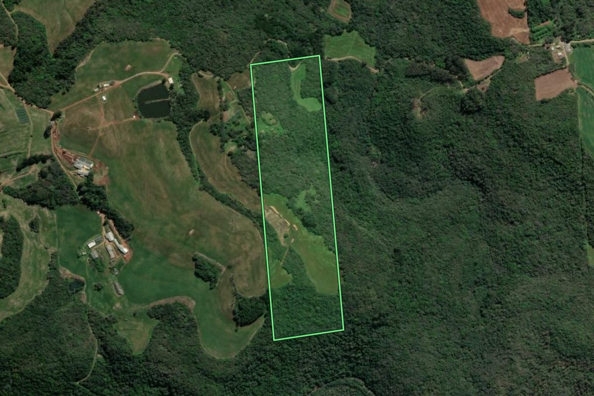 Imagem de satélite do imóvel rural em Serafina Corrêa (RS), com o contorno declarado no CAR desenhado por cima.