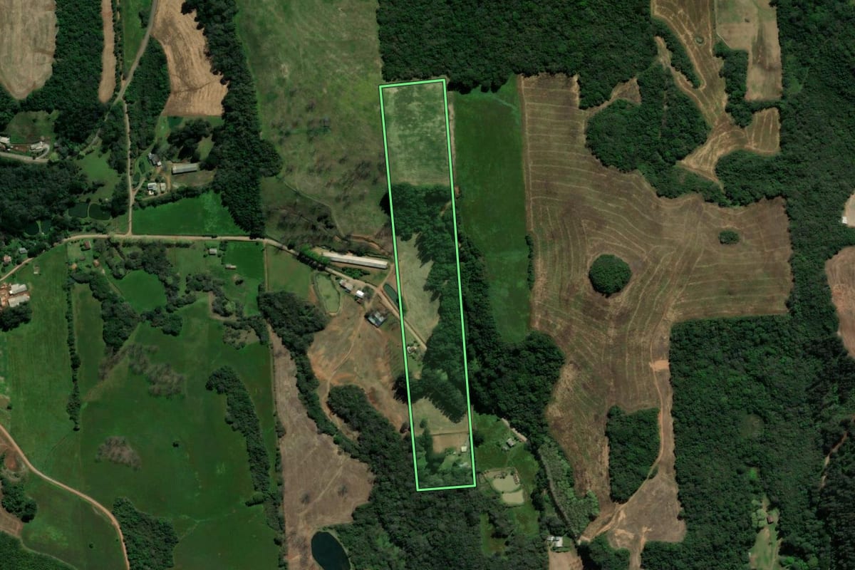 Imagem de satélite do imóvel rural em Serafina Corrêa (RS), com o contorno declarado no CAR desenhado por cima.