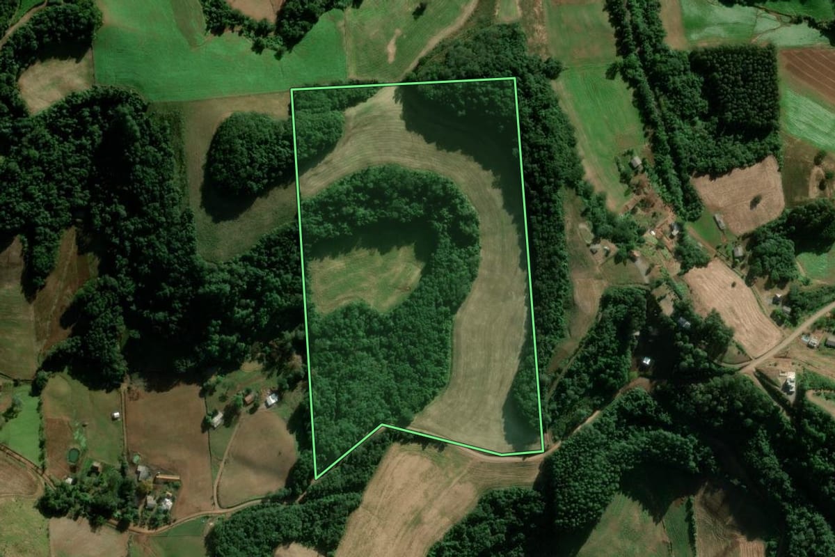 Imagem de satélite do imóvel rural em Serafina Corrêa (RS), com o contorno declarado no CAR desenhado por cima.