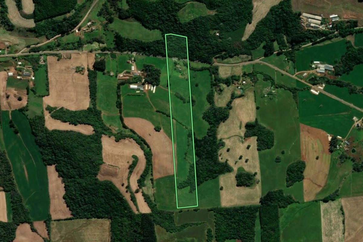 Imagem de satélite do imóvel rural em Serafina Corrêa (RS), com o contorno declarado no CAR desenhado por cima.