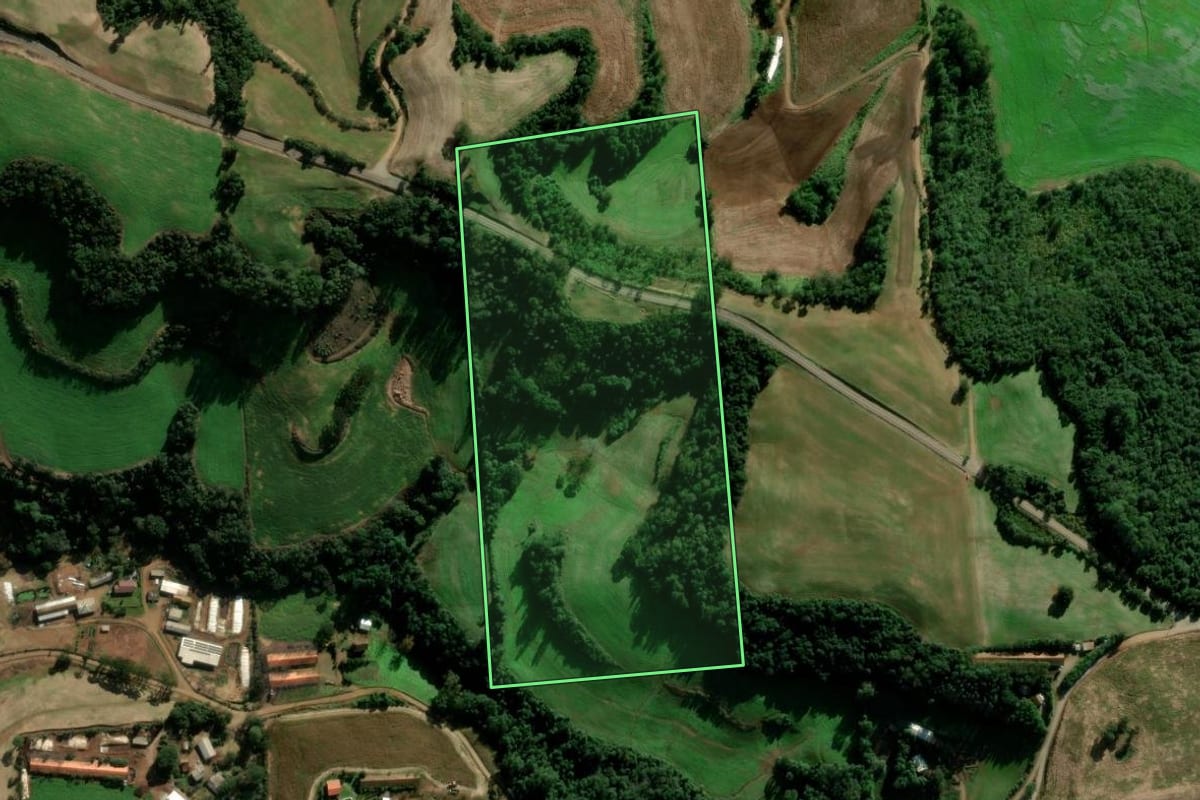 Imagem de satélite do imóvel rural em Serafina Corrêa (RS), com o contorno declarado no CAR desenhado por cima.