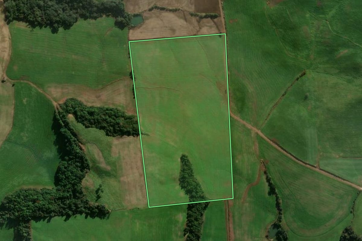 Imagem de satélite do imóvel rural em Serafina Corrêa (RS), com o contorno declarado no CAR desenhado por cima.