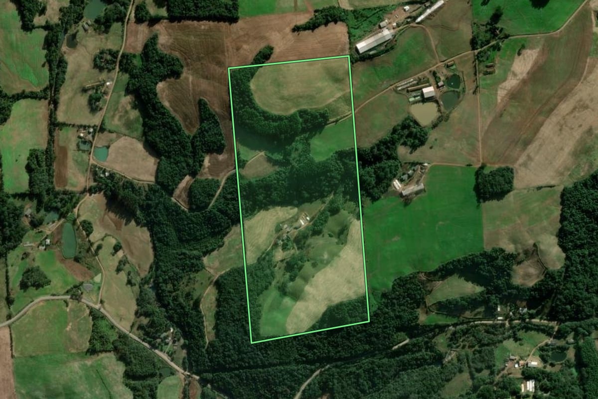 Imagem de satélite do imóvel rural em Serafina Corrêa (RS), com o contorno declarado no CAR desenhado por cima.