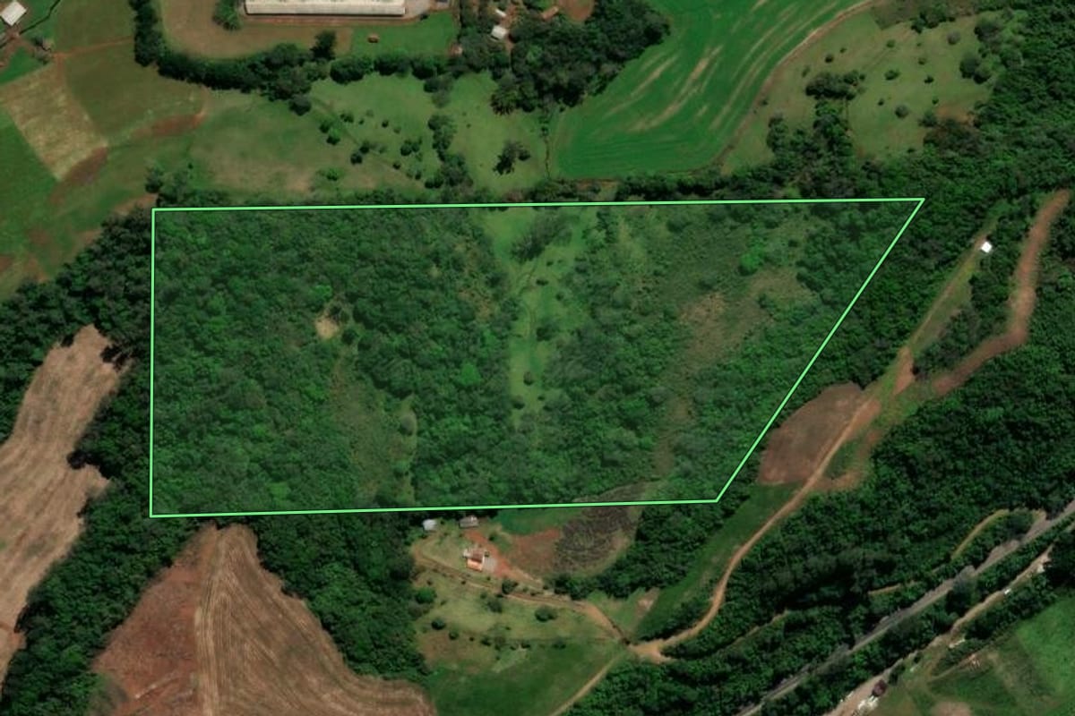 Imagem de satélite do imóvel rural em Serafina Corrêa (RS), com o contorno declarado no CAR desenhado por cima.