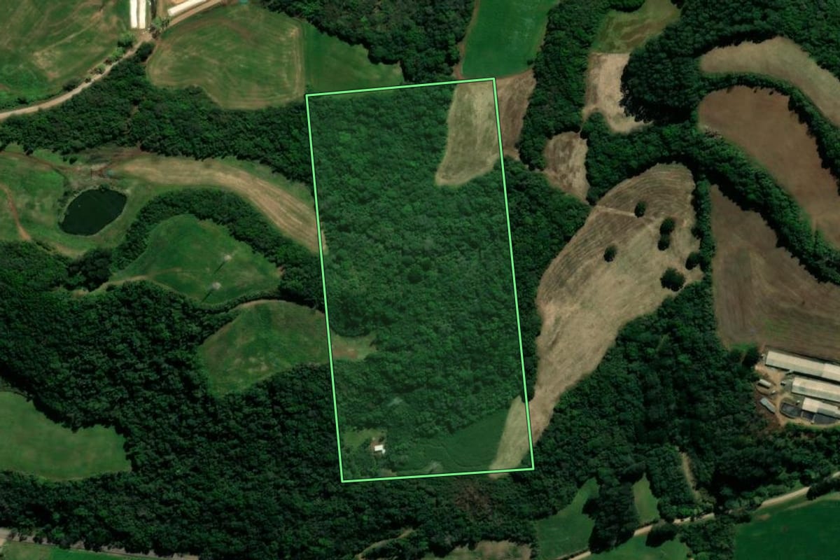 Imagem de satélite do imóvel rural em Serafina Corrêa (RS), com o contorno declarado no CAR desenhado por cima.