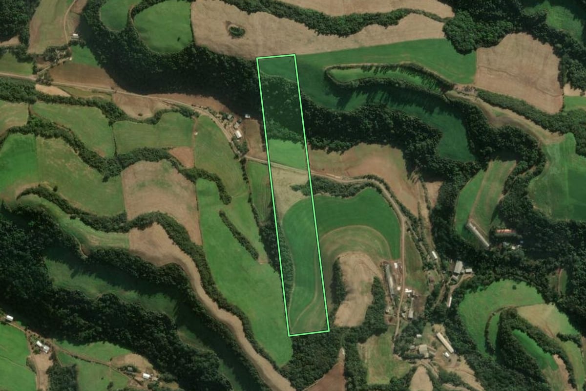 Imagem de satélite do imóvel rural em Serafina Corrêa (RS), com o contorno declarado no CAR desenhado por cima.