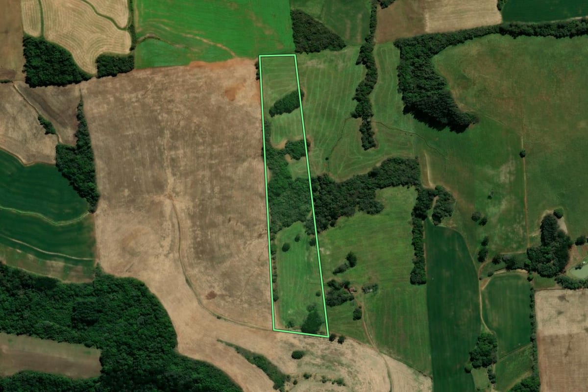 Imagem de satélite do imóvel rural em Serafina Corrêa (RS), com o contorno declarado no CAR desenhado por cima.