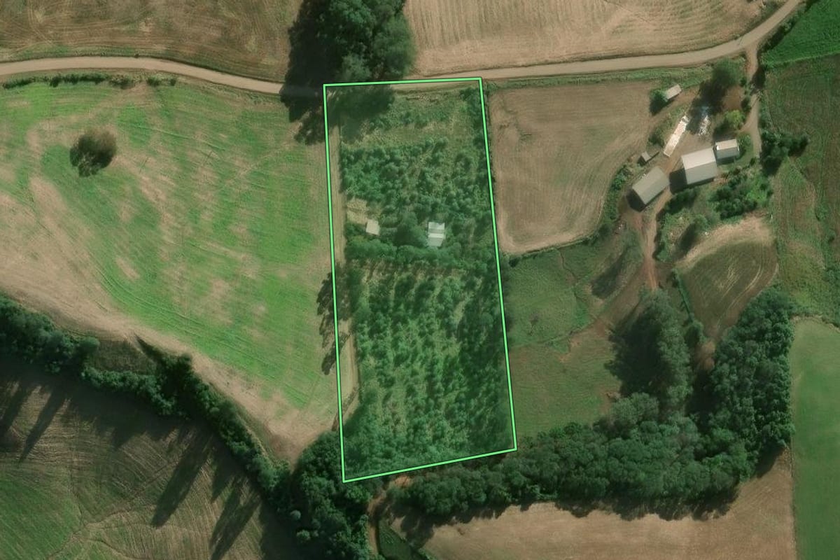 Imagem de satélite do imóvel rural em Serafina Corrêa (RS), com o contorno declarado no CAR desenhado por cima.