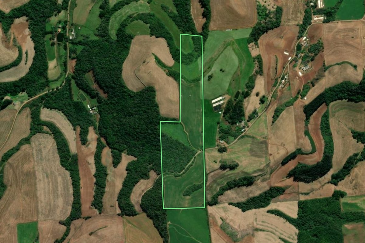 Imagem de satélite do imóvel rural em Serafina Corrêa (RS), com o contorno declarado no CAR desenhado por cima.