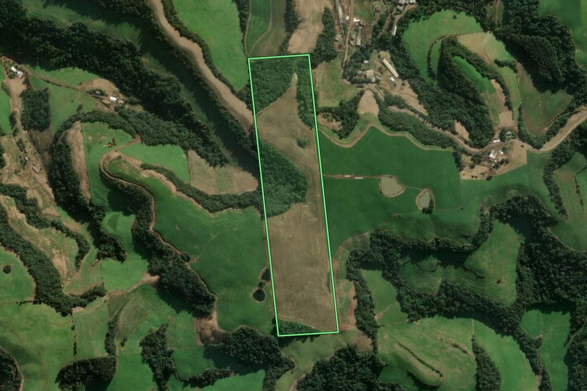 Imagem de satélite do imóvel rural em Serafina Corrêa (RS), com o contorno declarado no CAR desenhado por cima.