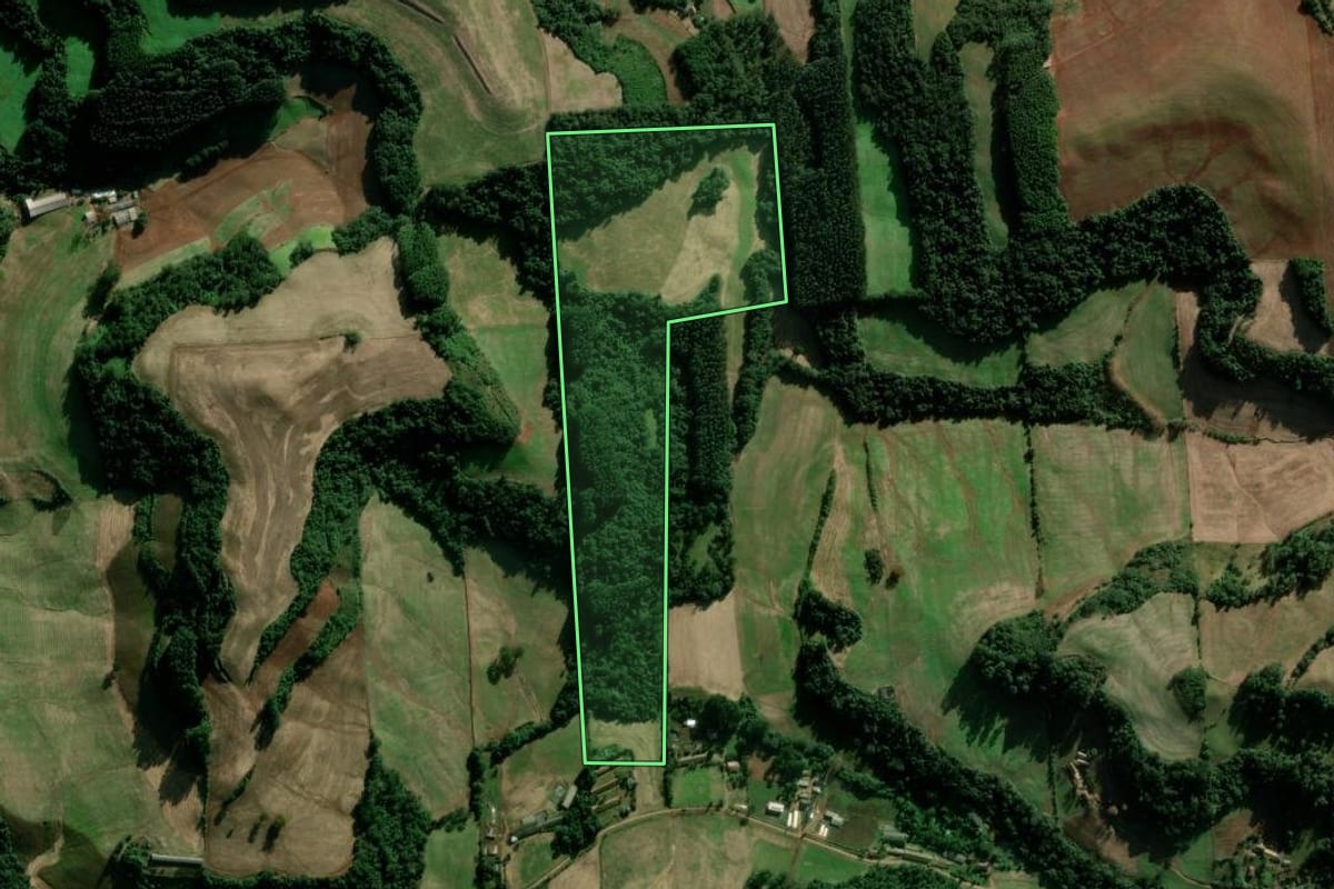 Imagem de satélite do imóvel rural em Serafina Corrêa (RS), com o contorno declarado no CAR desenhado por cima.