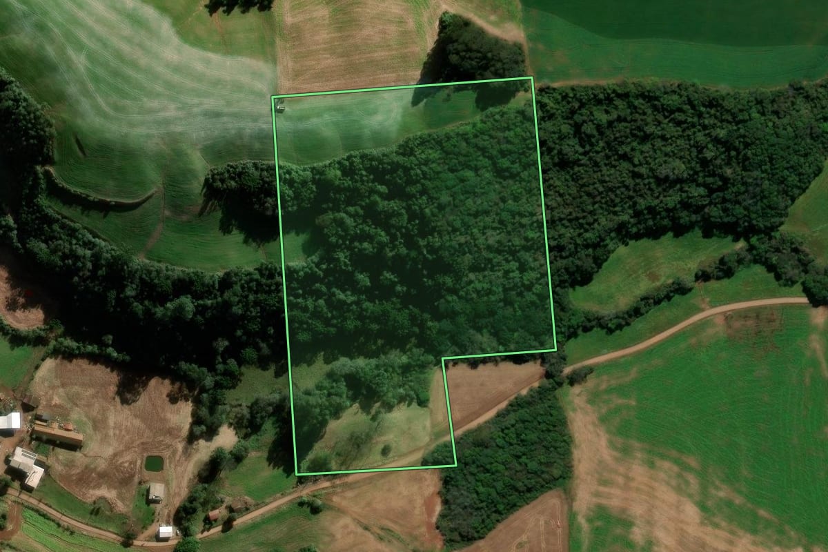 Imagem de satélite do imóvel rural em Serafina Corrêa (RS), com o contorno declarado no CAR desenhado por cima.