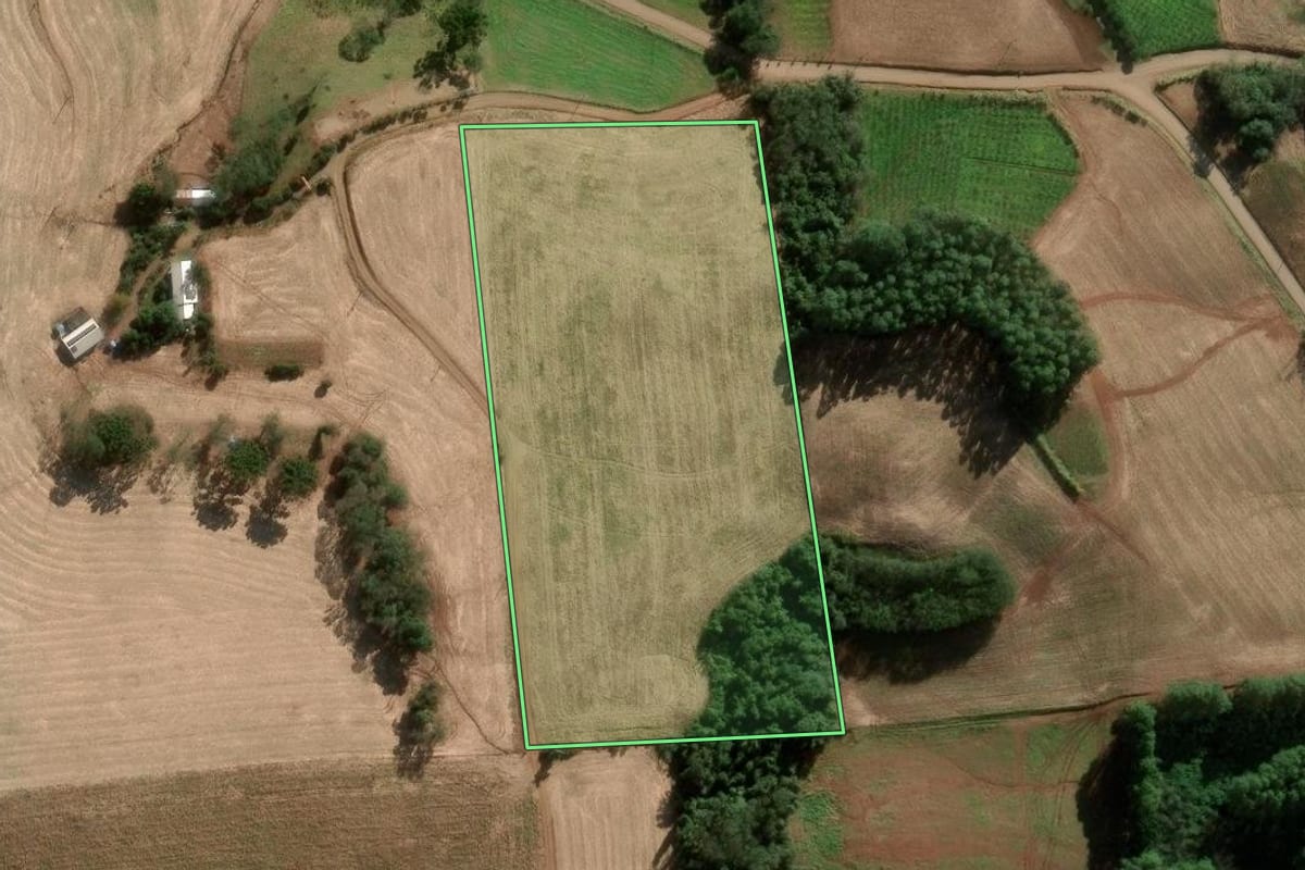 Imagem de satélite do imóvel rural em Serafina Corrêa (RS), com o contorno declarado no CAR desenhado por cima.