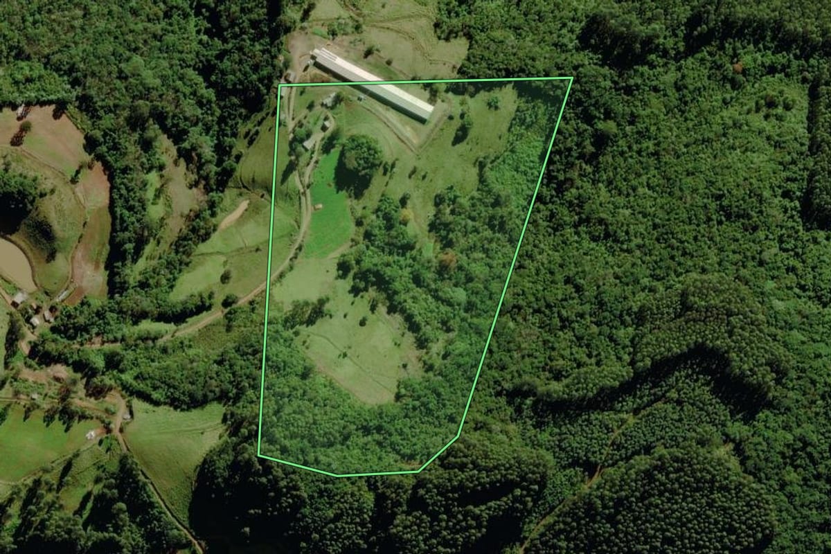 Imagem de satélite do imóvel rural em Sério (RS), com o contorno declarado no CAR desenhado por cima.
