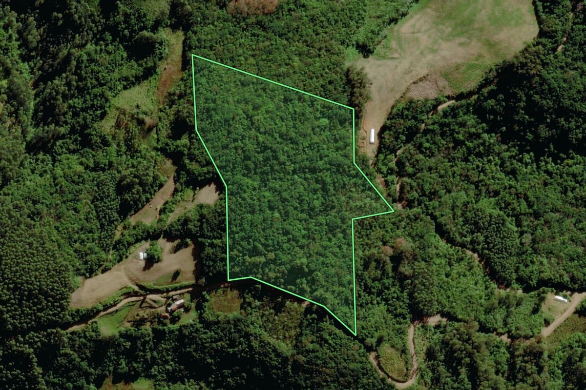 Imagem de satélite do imóvel rural em Sério (RS), com o contorno declarado no CAR desenhado por cima.