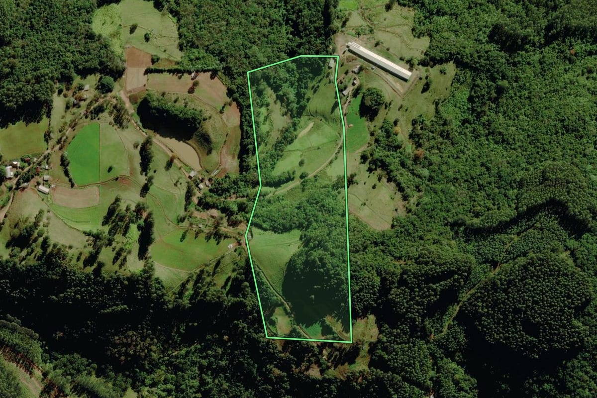 Imagem de satélite do imóvel rural em Sério (RS), com o contorno declarado no CAR desenhado por cima.