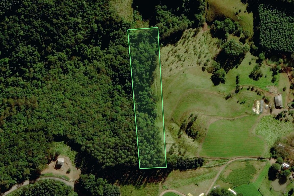 Imagem de satélite do imóvel rural em Sério (RS), com o contorno declarado no CAR desenhado por cima.