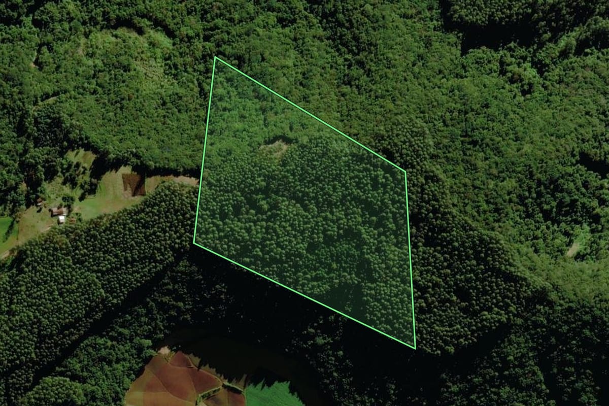 Imagem de satélite do imóvel rural em Sério (RS), com o contorno declarado no CAR desenhado por cima.