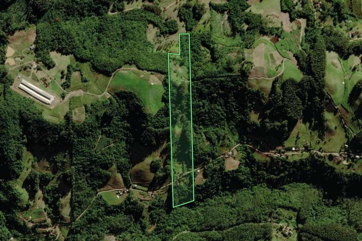 Imagem de satélite do imóvel rural em Sério (RS), com o contorno declarado no CAR desenhado por cima.