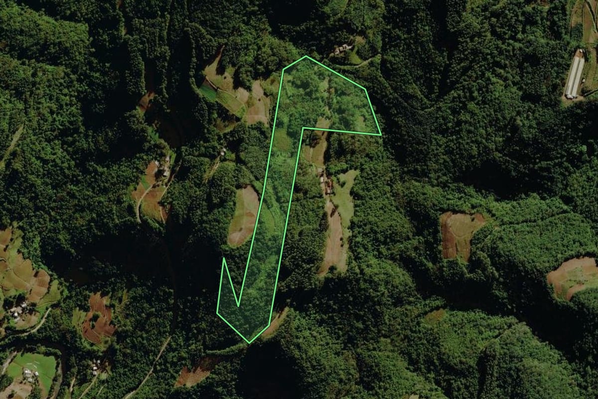 Imagem de satélite do imóvel rural em Sério (RS), com o contorno declarado no CAR desenhado por cima.