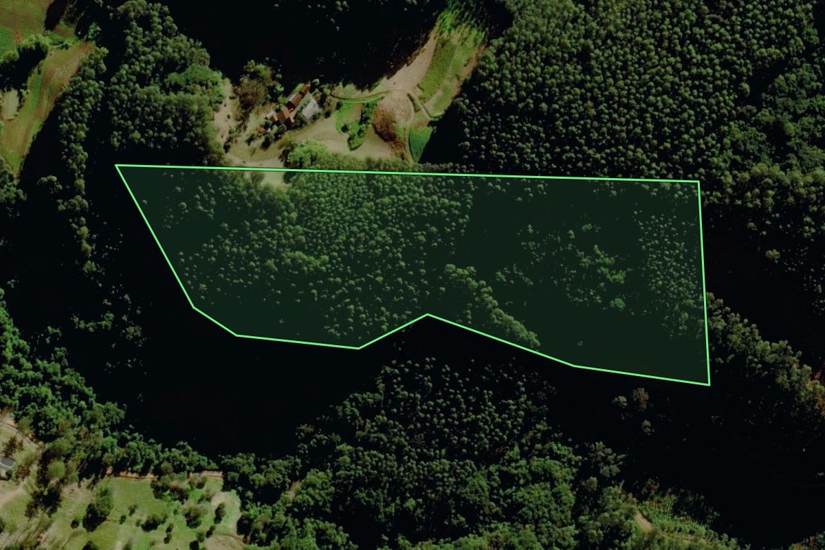 Imagem de satélite do imóvel rural em Sério (RS), com o contorno declarado no CAR desenhado por cima.