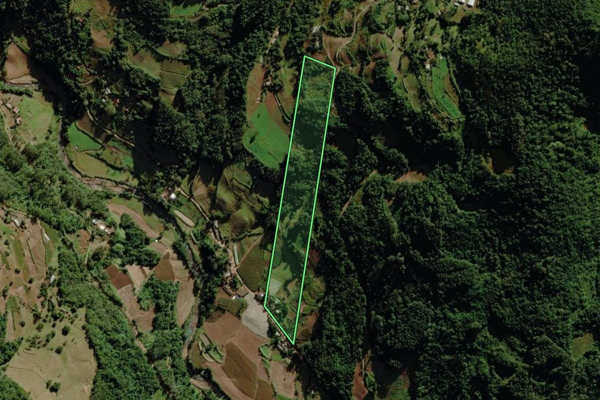 Imagem de satélite do imóvel rural em Sério (RS), com o contorno declarado no CAR desenhado por cima.