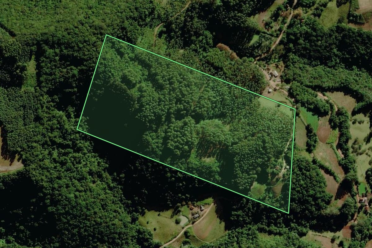 Imagem de satélite do imóvel rural em Sério (RS), com o contorno declarado no CAR desenhado por cima.
