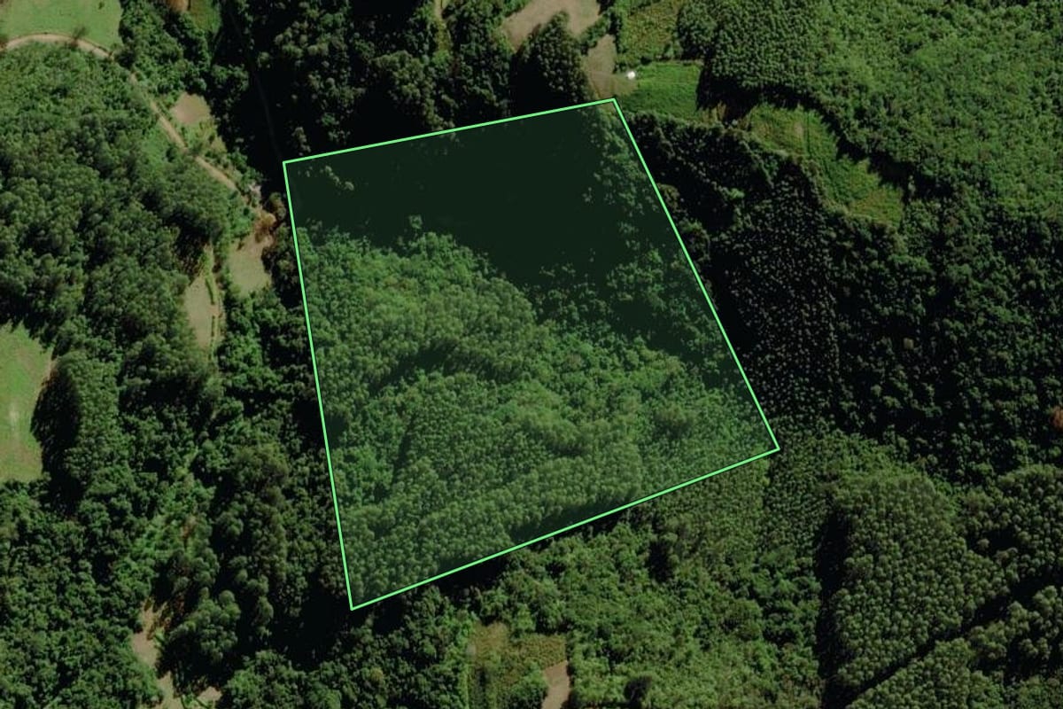 Imagem de satélite do imóvel rural em Sério (RS), com o contorno declarado no CAR desenhado por cima.