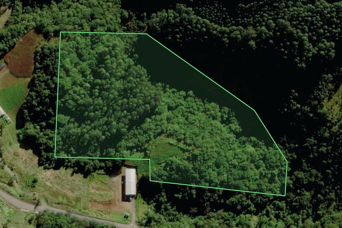 Imagem de satélite do imóvel rural em Sério (RS), com o contorno declarado no CAR desenhado por cima.