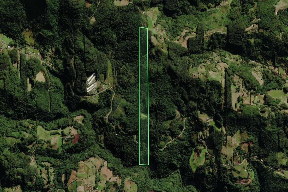 Imagem de satélite do imóvel rural em Sério (RS), com o contorno declarado no CAR desenhado por cima.