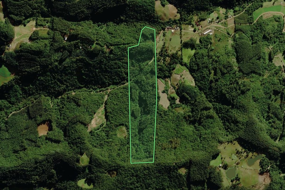 Imagem de satélite do imóvel rural em Sério (RS), com o contorno declarado no CAR desenhado por cima.