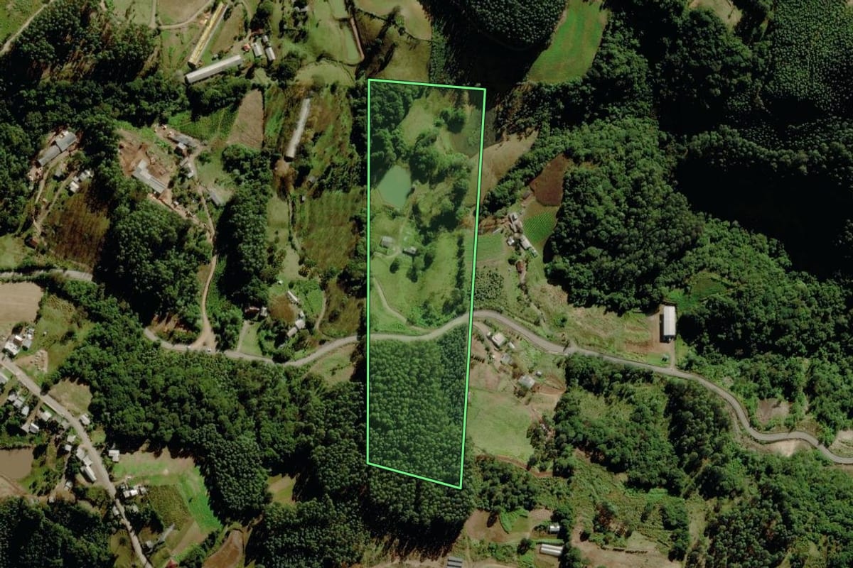Imagem de satélite do imóvel rural em Sério (RS), com o contorno declarado no CAR desenhado por cima.