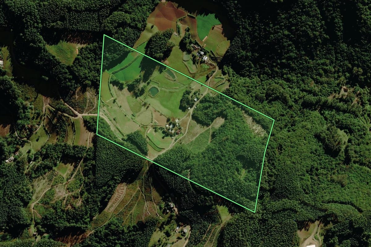 Imagem de satélite do imóvel rural em Sério (RS), com o contorno declarado no CAR desenhado por cima.