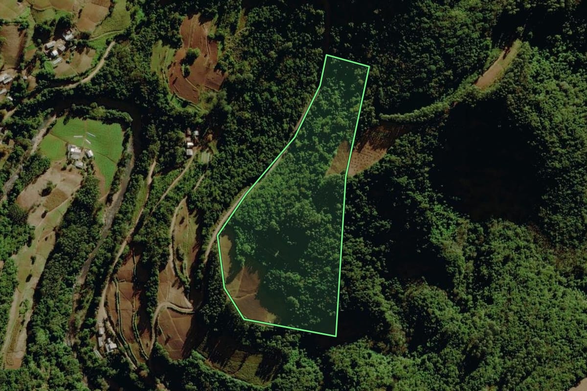 Imagem de satélite do imóvel rural em Sério (RS), com o contorno declarado no CAR desenhado por cima.