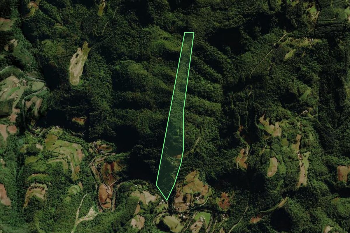 Imagem de satélite do imóvel rural em Sério (RS), com o contorno declarado no CAR desenhado por cima.