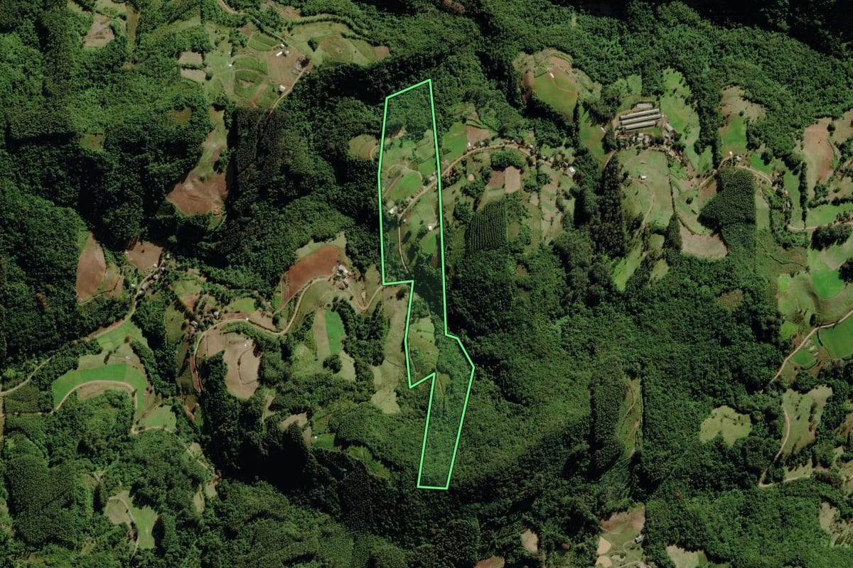 Imagem de satélite do imóvel rural em Sério (RS), com o contorno declarado no CAR desenhado por cima.