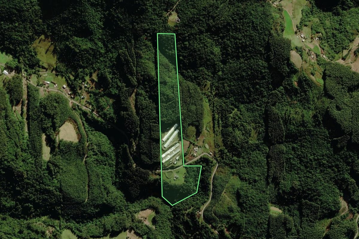 Imagem de satélite do imóvel rural em Sério (RS), com o contorno declarado no CAR desenhado por cima.