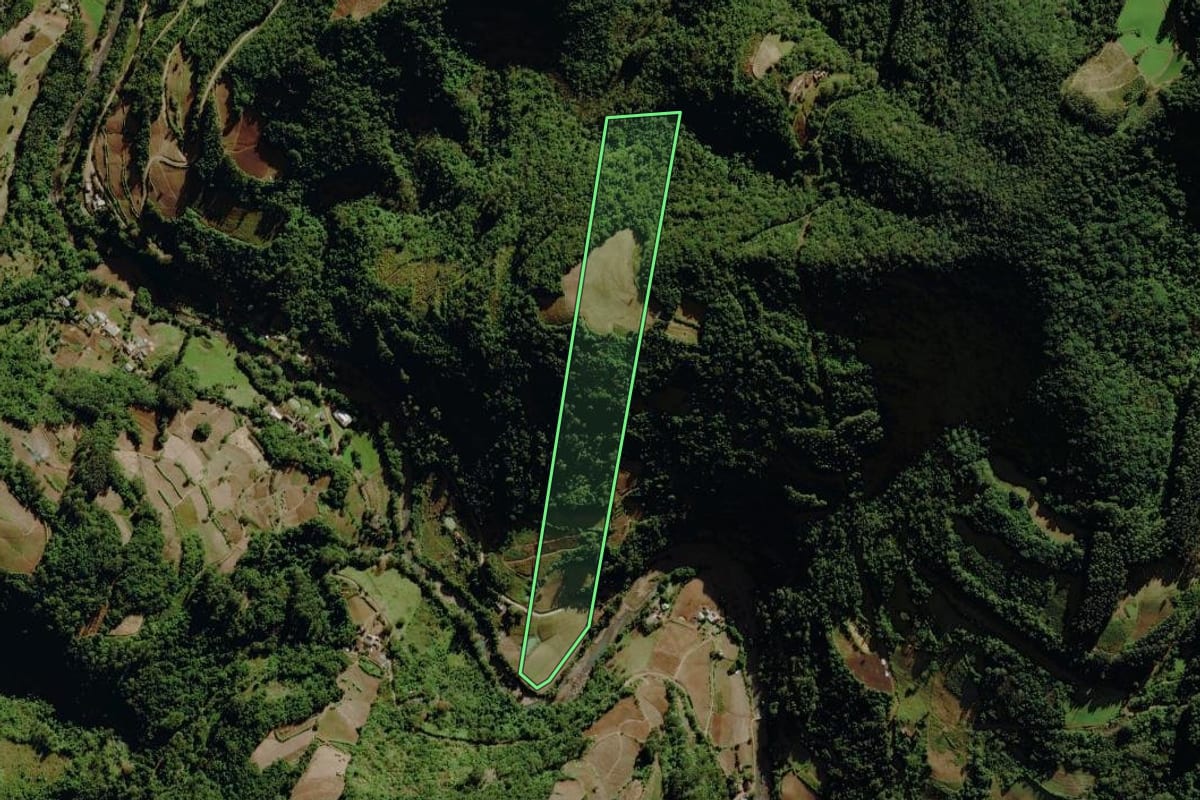 Imagem de satélite do imóvel rural em Sério (RS), com o contorno declarado no CAR desenhado por cima.