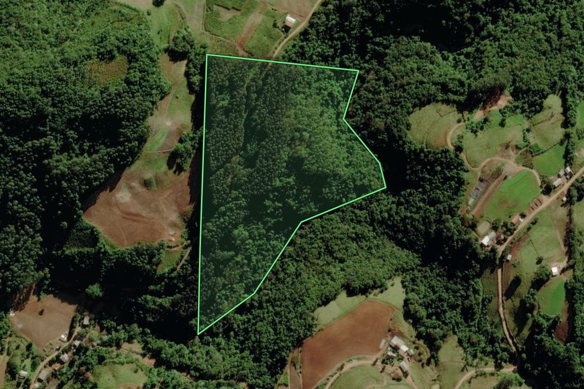 Imagem de satélite do imóvel rural em Sério (RS), com o contorno declarado no CAR desenhado por cima.