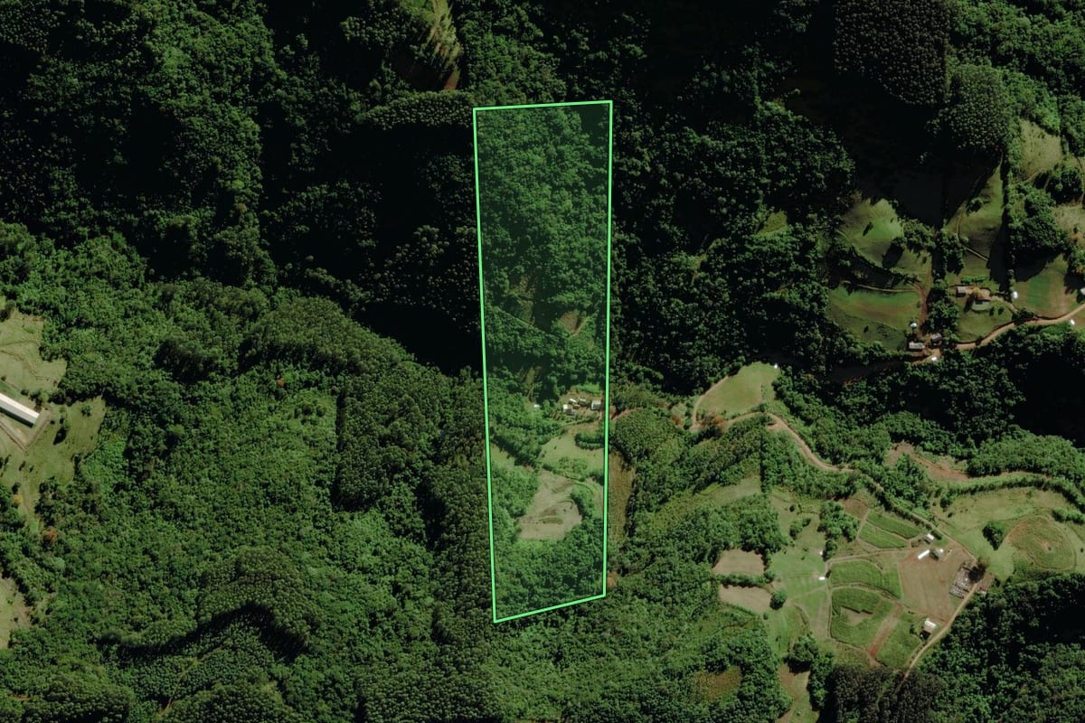 Imagem de satélite do imóvel rural em Sério (RS), com o contorno declarado no CAR desenhado por cima.