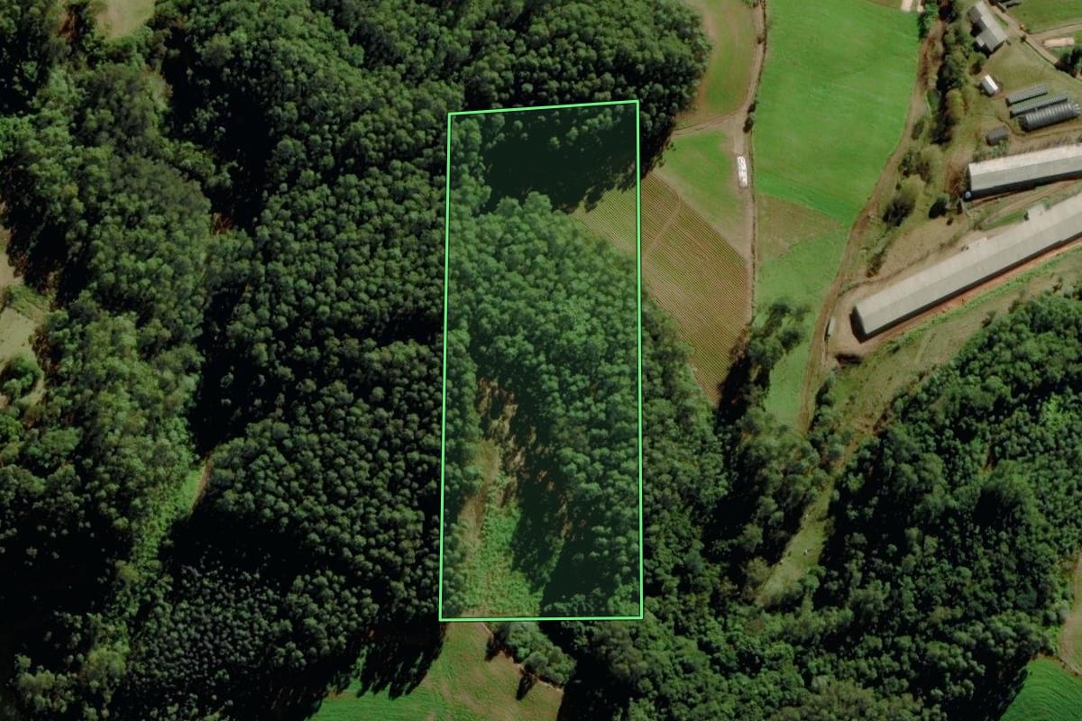 Imagem de satélite do imóvel rural em Sério (RS), com o contorno declarado no CAR desenhado por cima.