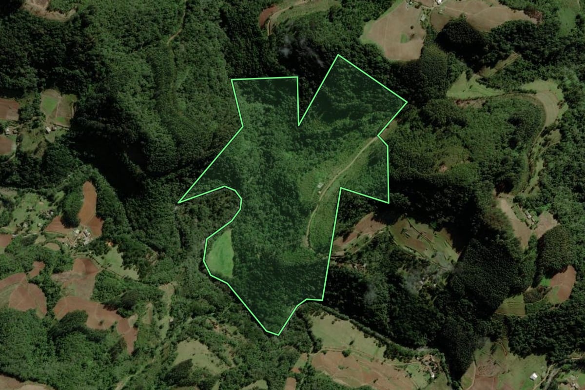 Imagem de satélite do imóvel rural em Sério (RS), com o contorno declarado no CAR desenhado por cima.