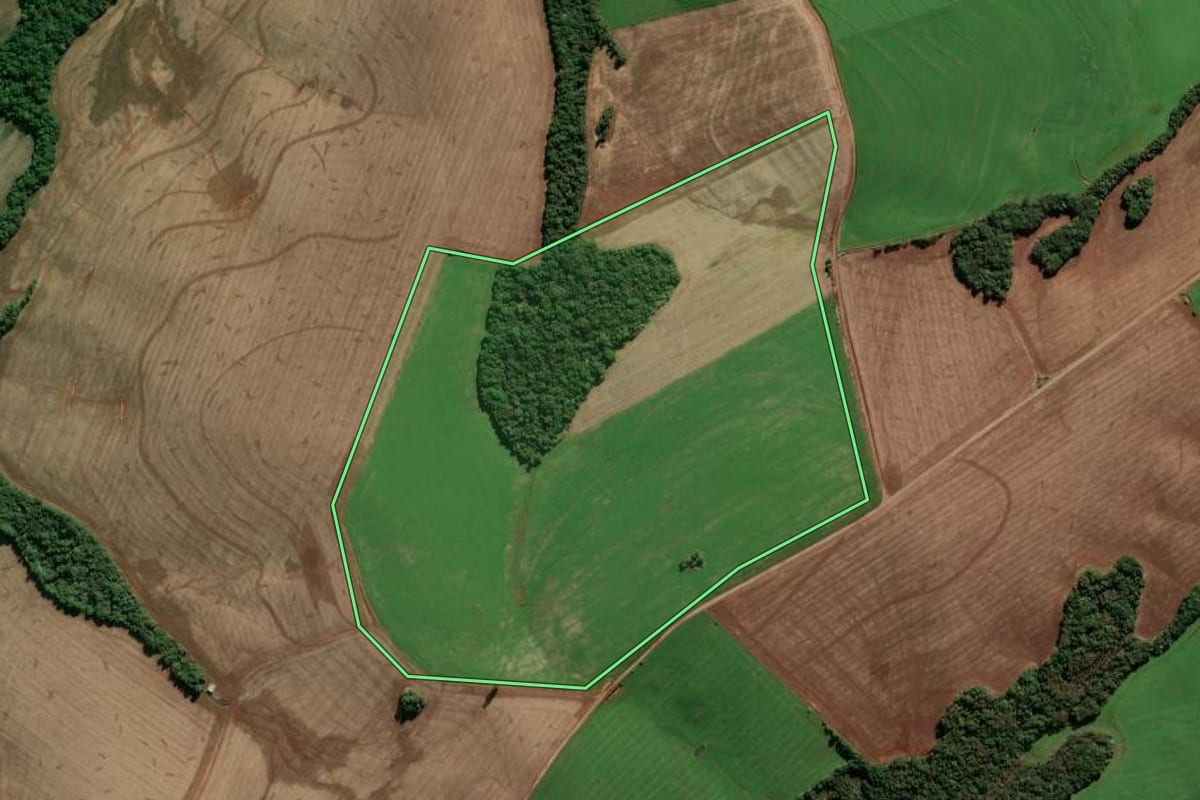 Imagem de satélite do imóvel rural em Sertão (RS), com o contorno declarado no CAR desenhado por cima.