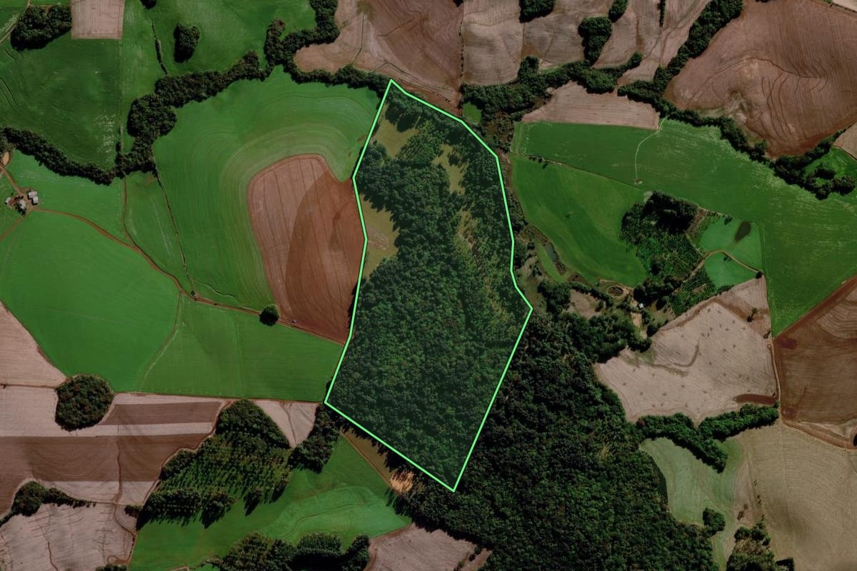 Imagem de satélite do imóvel rural em Sertão (RS), com o contorno declarado no CAR desenhado por cima.
