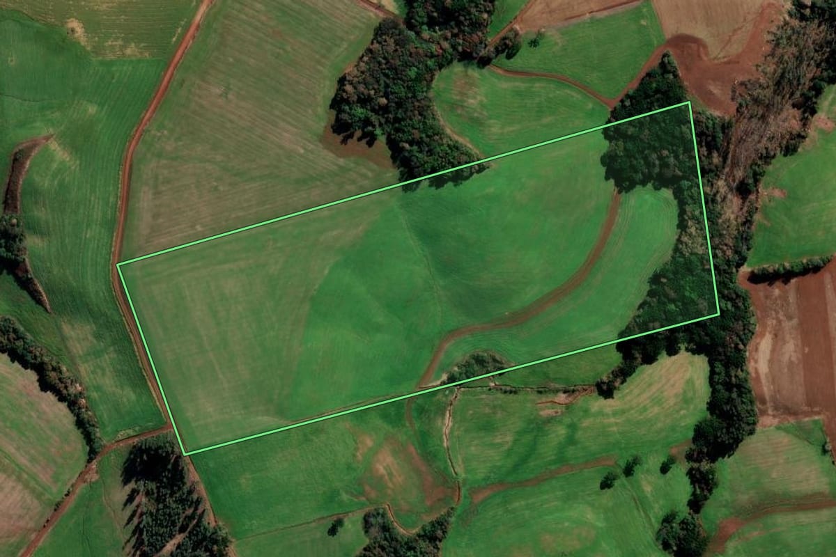 Imagem de satélite do imóvel rural em Sertão (RS), com o contorno declarado no CAR desenhado por cima.