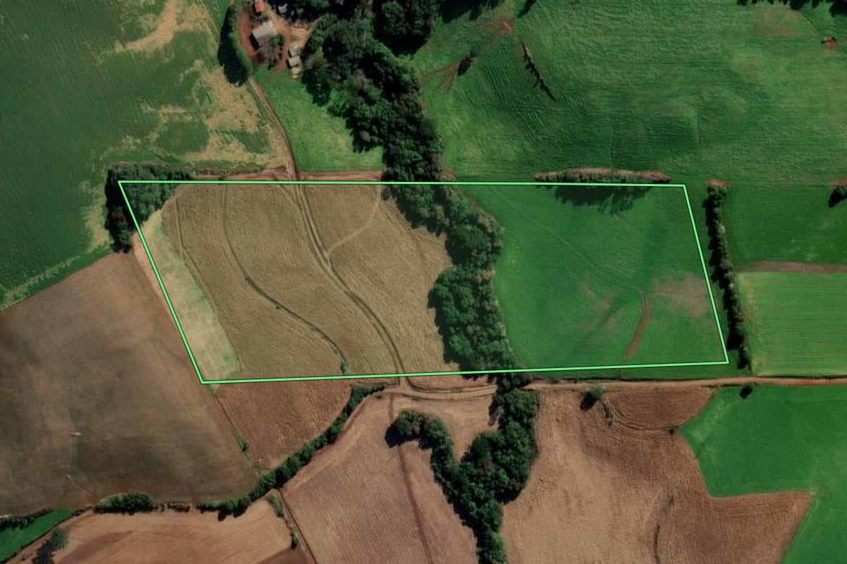 Imagem de satélite do imóvel rural em Sertão (RS), com o contorno declarado no CAR desenhado por cima.