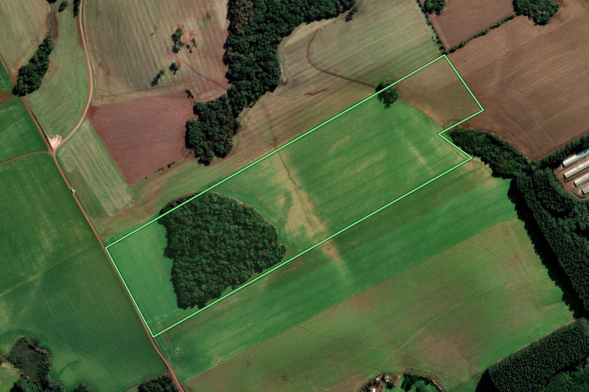 Imagem de satélite do imóvel rural em Sertão (RS), com o contorno declarado no CAR desenhado por cima.